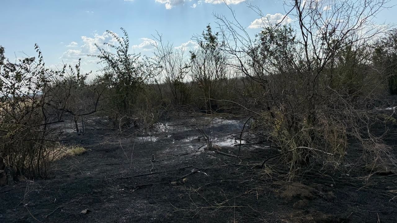 В Білгород-Дністровському районі палало сміттєзвалище: вогонь знищив ліс і поля