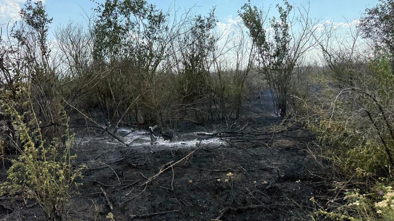 В Білгород-Дністровському районі палало сміттєзвалище: вогонь знищив ліс і поля