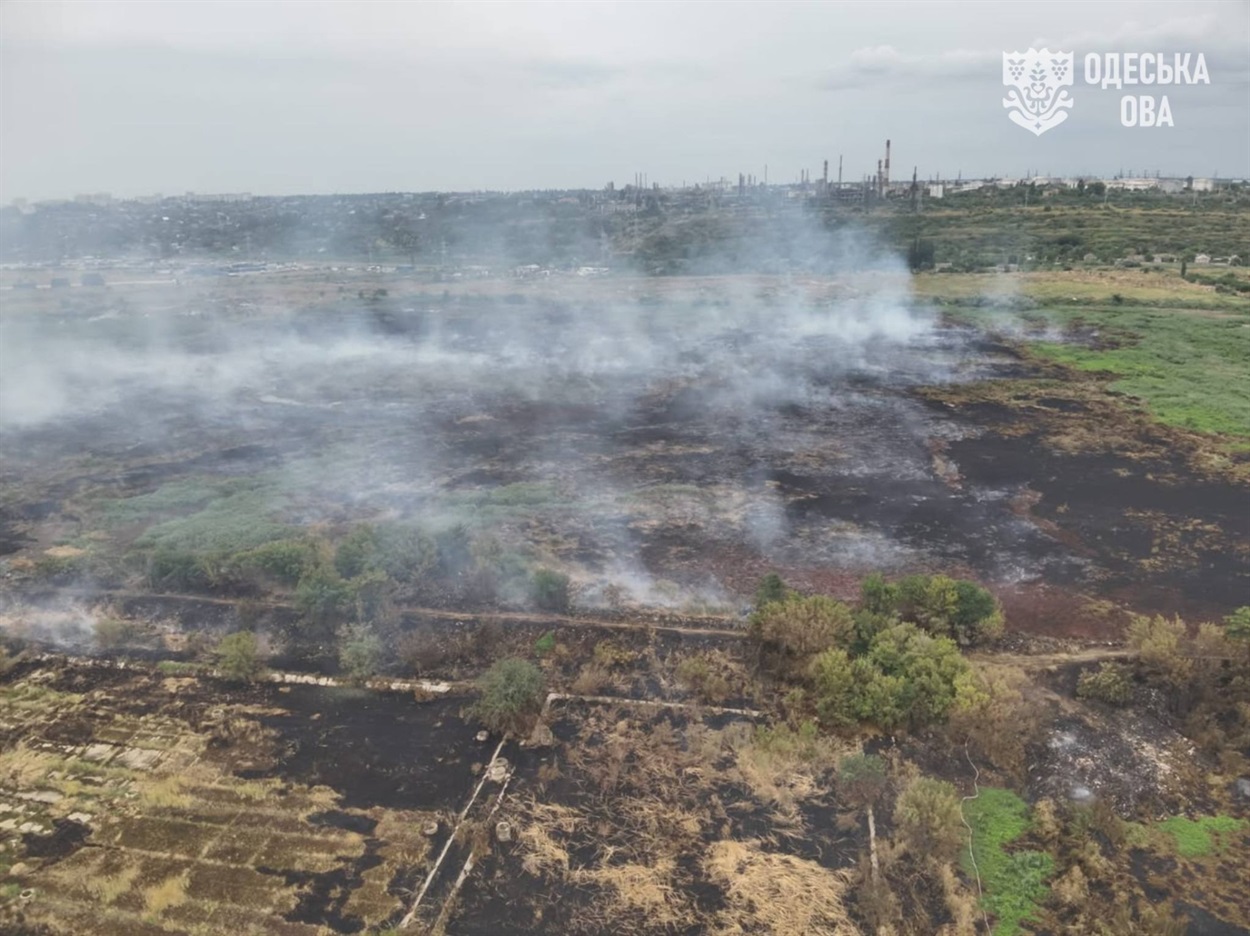 Отрута з вертольотів, психотропи чи фізика? Чому Одеса та передмістя задихаються щоночі від смороду