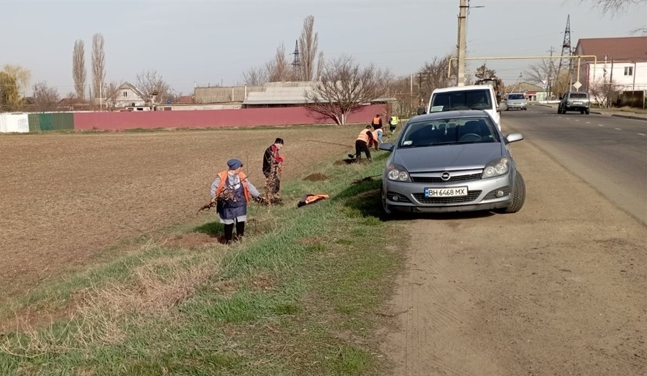 Чи зникають дерева Біляївки: з'ясовуємо, що стається із зеленими насадженнями після суботників