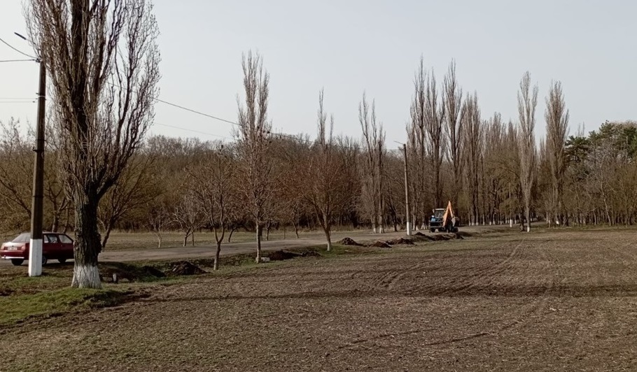 Чи зникають дерева Біляївки: з'ясовуємо, що стається із зеленими насадженнями після суботників