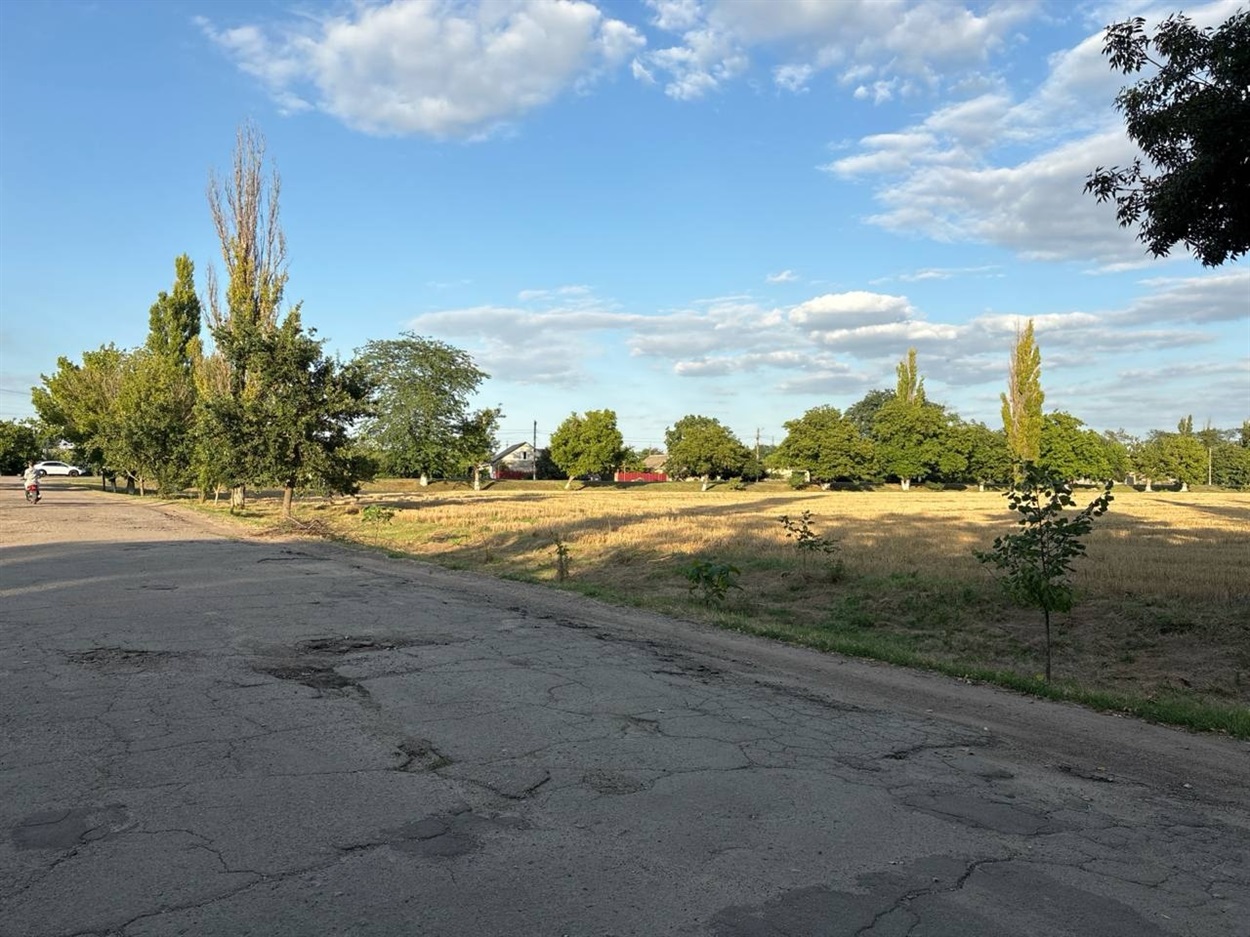 Так виросли дерева за 4 роки