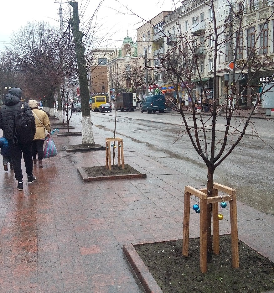 м.Кропівницький